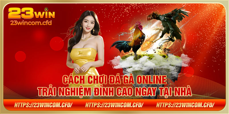 Cách chơi đá gà online