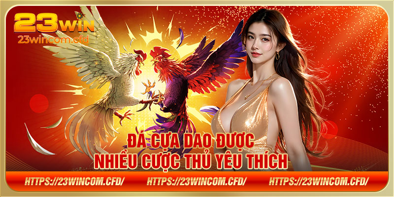 Đá cựa dao được nhiều cược thủ yêu thích