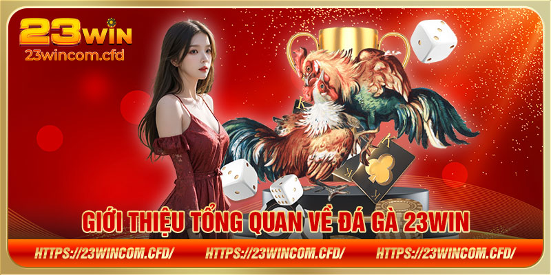 Giới thiệu tổng quan về đá gà 23WIN