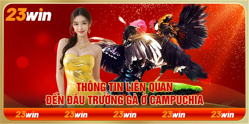 Thông tin liên quan đến đấu trường gà ở Campuchia